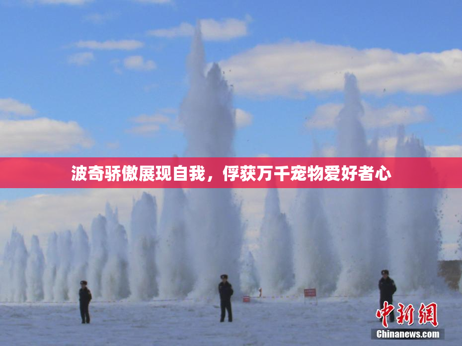 波奇骄傲展现自我，俘获万千宠物爱好者心