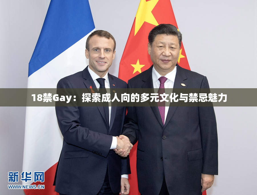 18禁Gay：探索成人向的多元文化与禁忌魅力