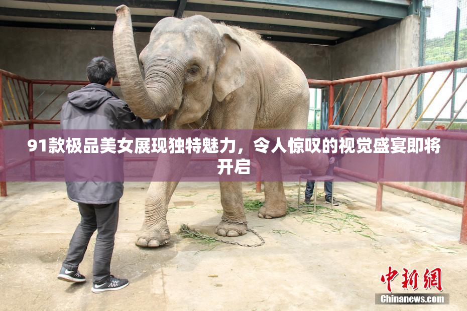 91款极品美女展现独特魅力，令人惊叹的视觉盛宴即将开启