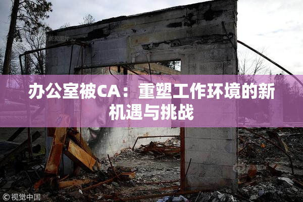 办公室被CA：重塑工作环境的新机遇与挑战