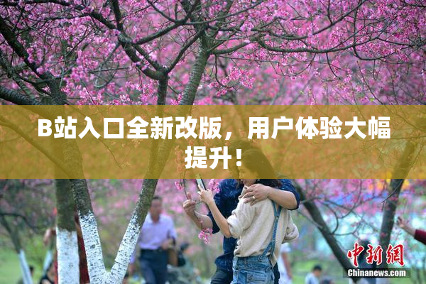 B站入口全新改版，用户体验大幅提升！