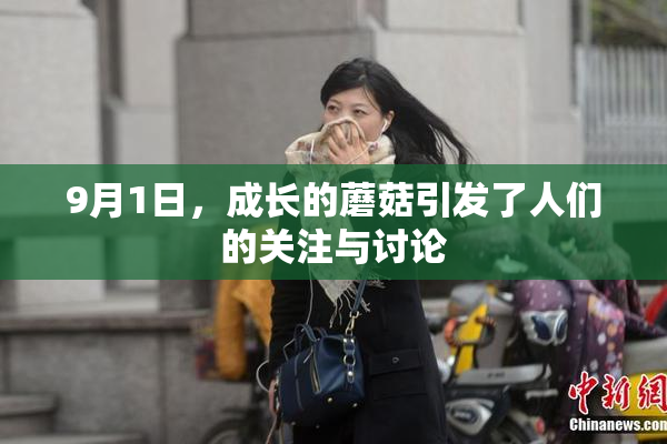 9月1日，成长的蘑菇引发了人们的关注与讨论