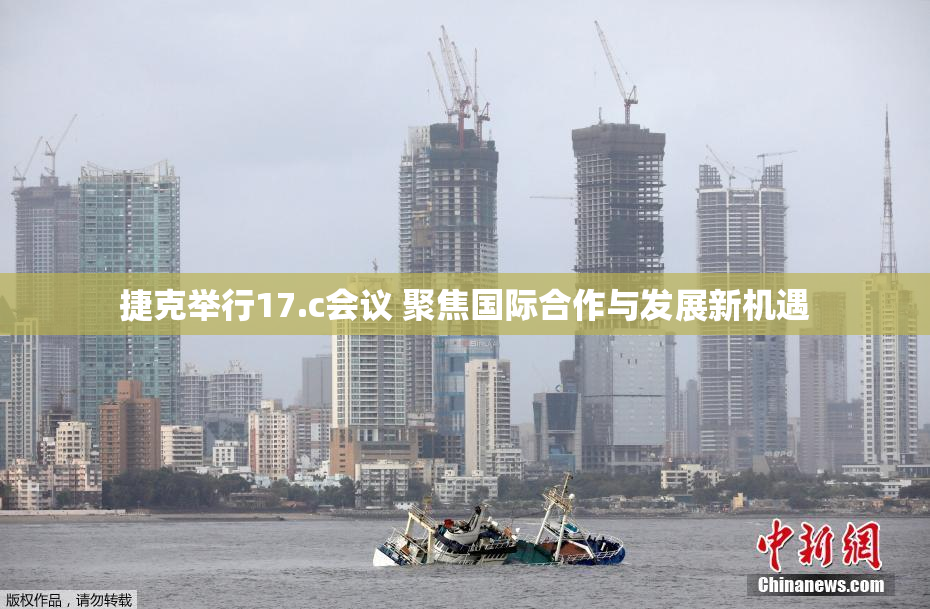 捷克举行17.c会议 聚焦国际合作与发展新机遇