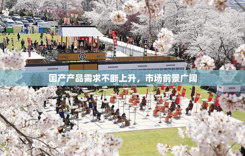 国产产品需求不断上升，市场前景广阔