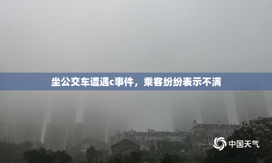 坐公交车遭遇c事件，乘客纷纷表示不满