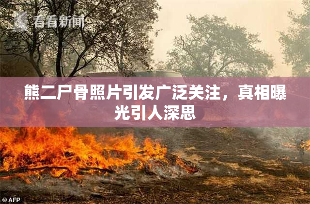 熊二尸骨照片引发广泛关注，真相曝光引人深思