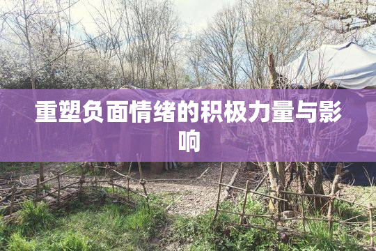 重塑负面情绪的积极力量与影响