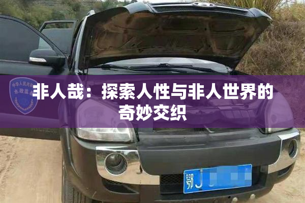 非人哉：探索人性与非人世界的奇妙交织