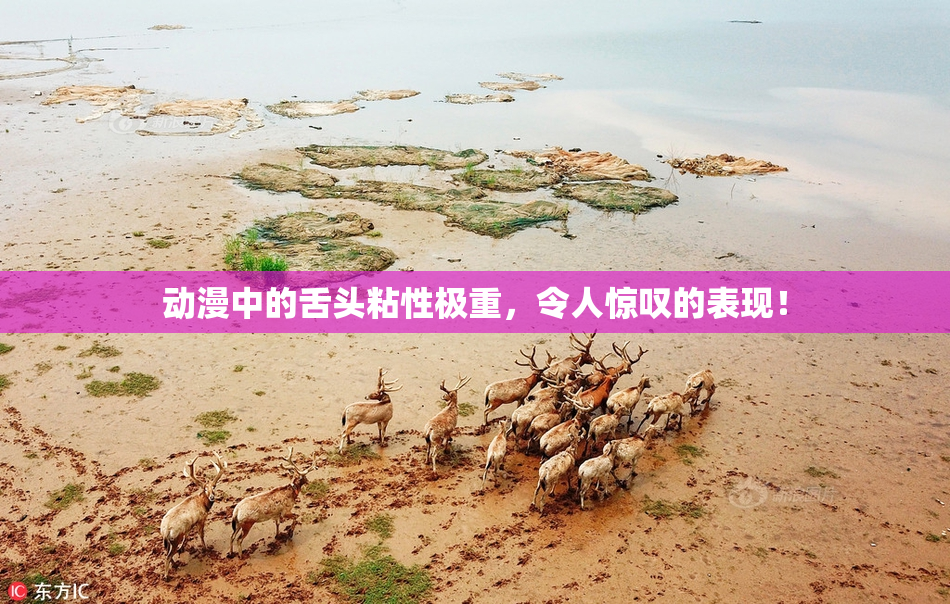 动漫中的舌头粘性极重，令人惊叹的表现！