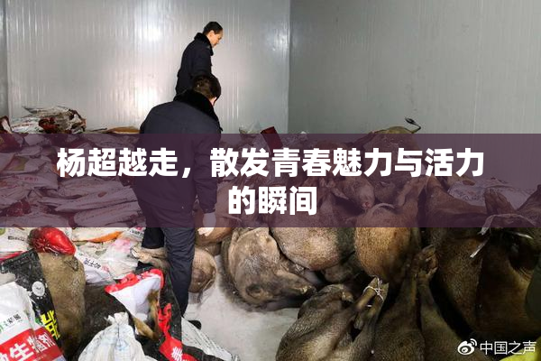 杨超越走，散发青春魅力与活力的瞬间