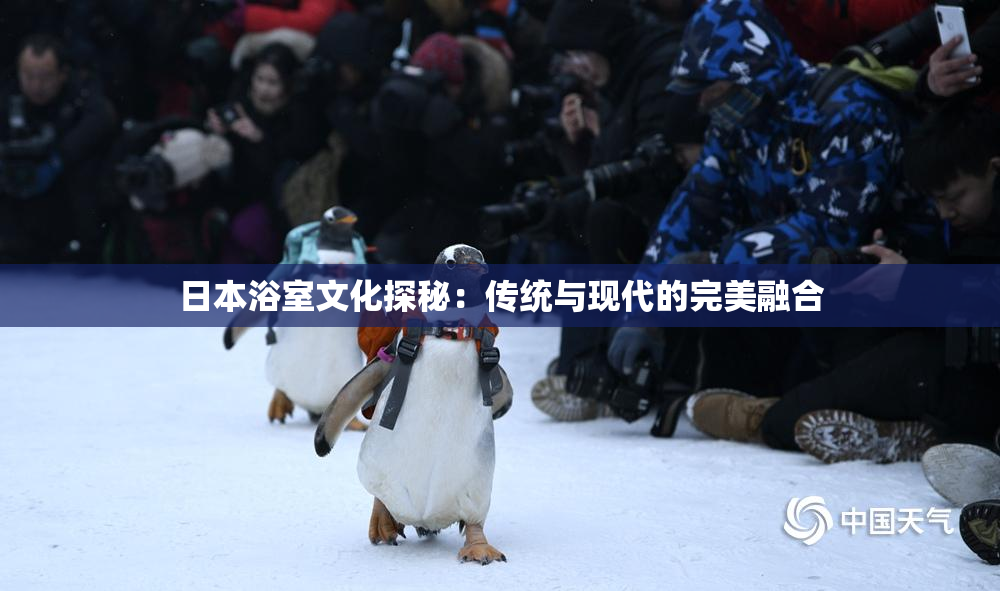 日本浴室文化探秘：传统与现代的完美融合