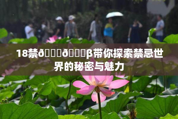 18禁🍆🍑β带你探索禁忌世界的秘密与魅力