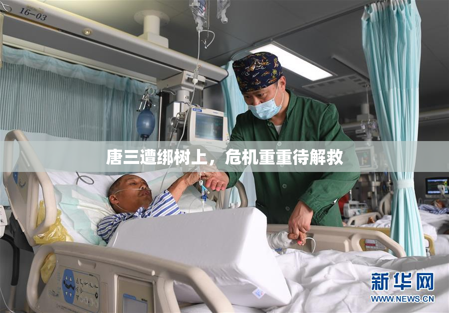唐三遭绑树上，危机重重待解救