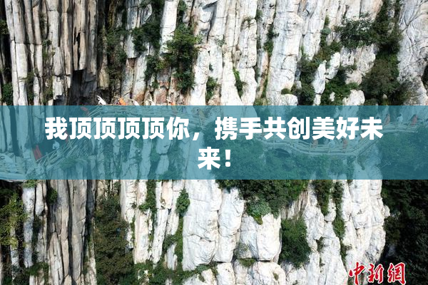 我顶顶顶顶你，携手共创美好未来！