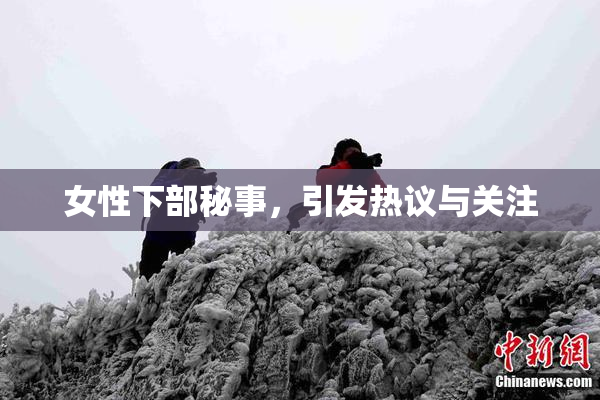 女性下部秘事，引发热议与关注