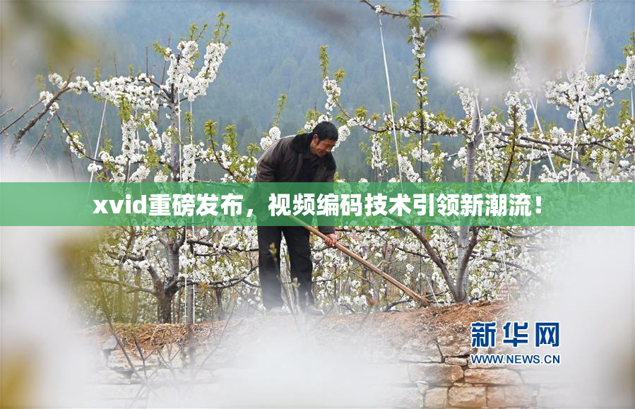 xvid重磅发布，视频编码技术引领新潮流！