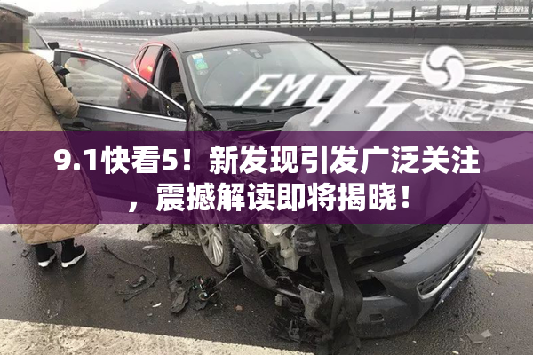 9.1快看5！新发现引发广泛关注，震撼解读即将揭晓！