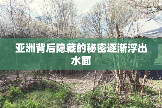 亚洲背后隐藏的秘密逐渐浮出水面