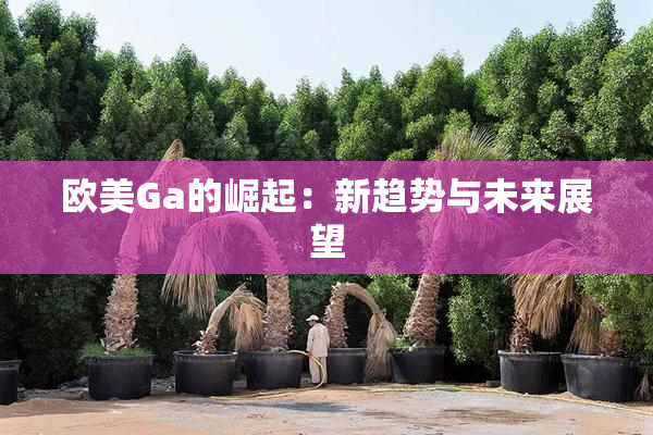 欧美Ga的崛起：新趋势与未来展望