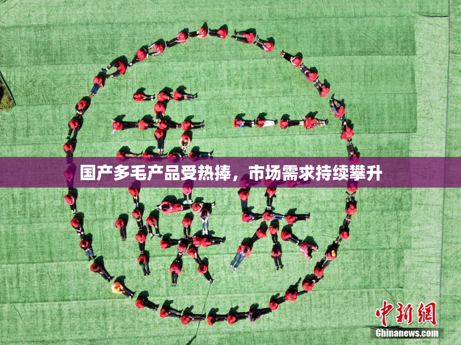 国产多毛产品受热捧，市场需求持续攀升