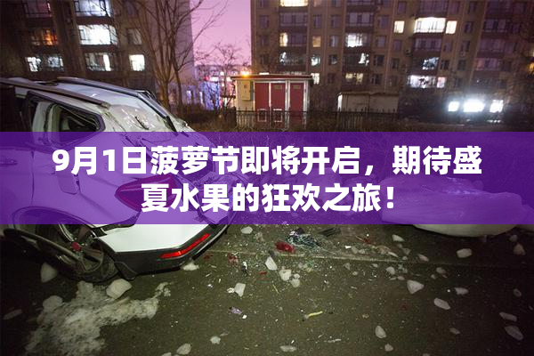 9月1日菠萝节即将开启，期待盛夏水果的狂欢之旅！