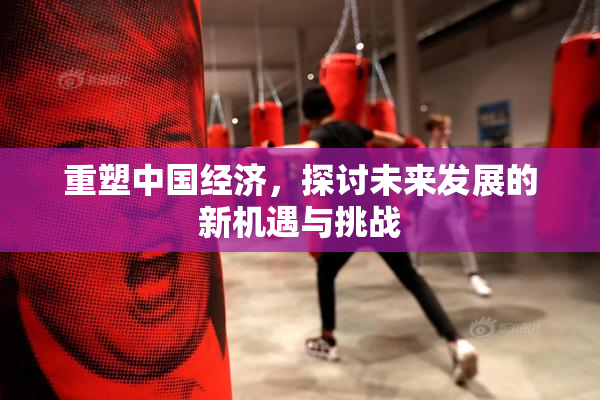 重塑中国经济，探讨未来发展的新机遇与挑战