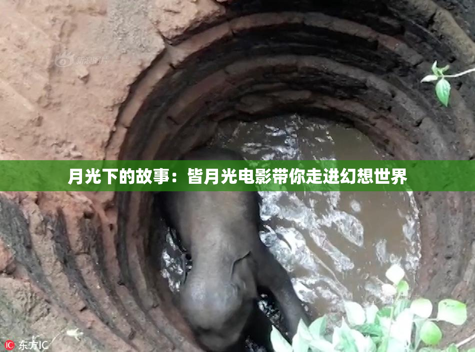 月光下的故事：皆月光电影带你走进幻想世界