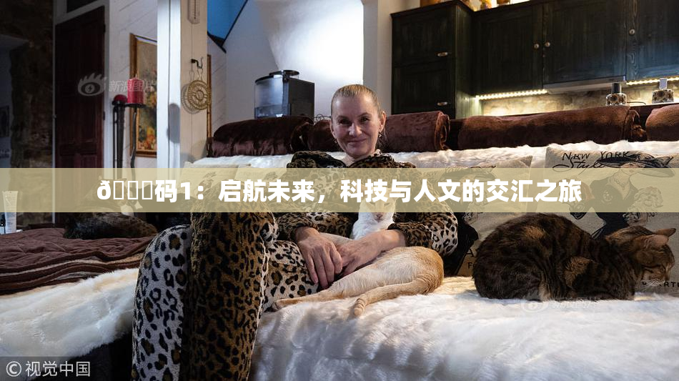 🈚码1：启航未来，科技与人文的交汇之旅