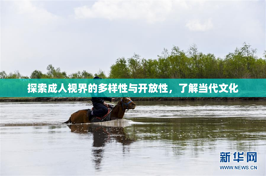 探索成人视界的多样性与开放性，了解当代文化
