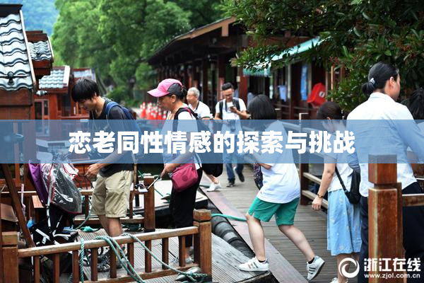 恋老同性情感的探索与挑战
