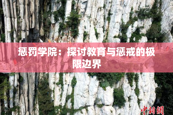 惩罚学院：探讨教育与惩戒的极限边界
