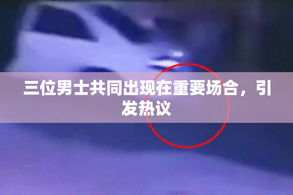三位男士共同出现在重要场合，引发热议