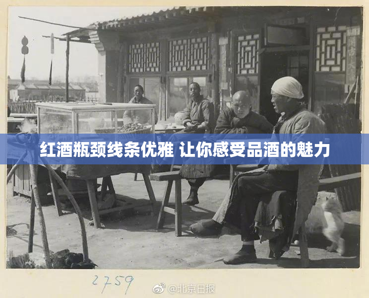 红酒瓶颈线条优雅 让你感受品酒的魅力