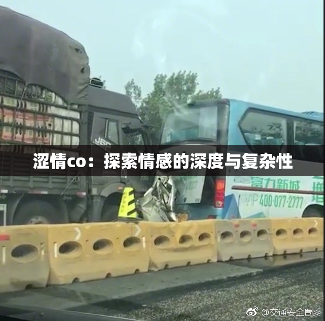 涩情co：探索情感的深度与复杂性
