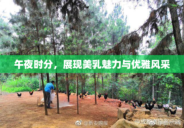 午夜时分，展现美乳魅力与优雅风采