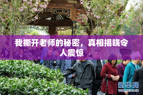 我撕开老师的秘密，真相揭晓令人震惊