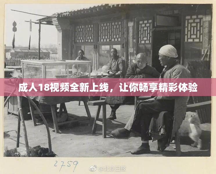成人18视频全新上线，让你畅享精彩体验