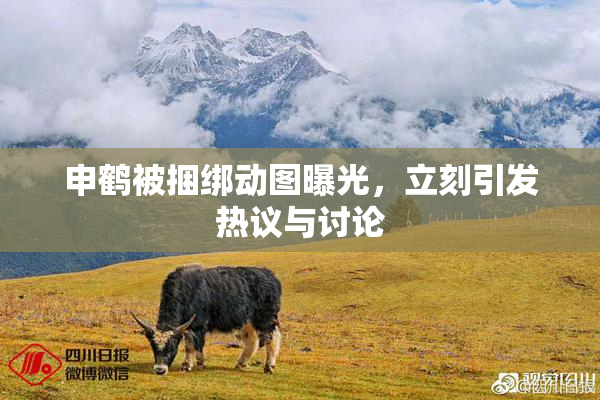 申鹤被捆绑动图曝光，立刻引发热议与讨论