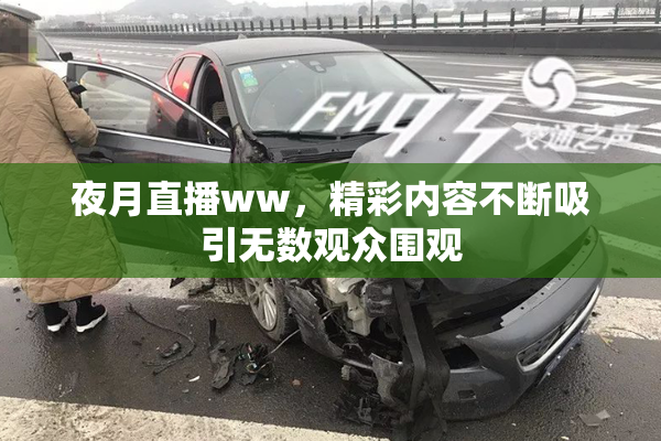 夜月直播ww，精彩内容不断吸引无数观众围观