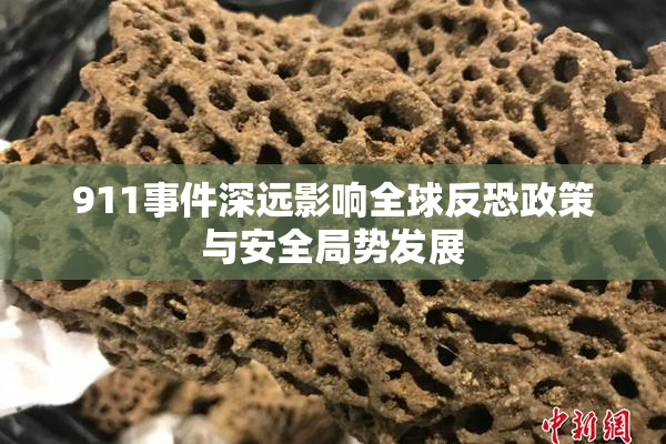 911事件深远影响全球反恐政策与安全局势发展