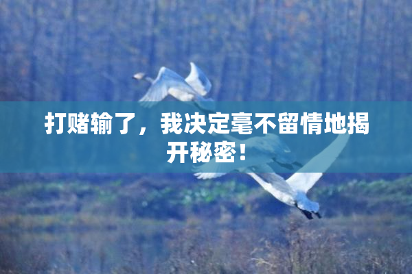 打赌输了，我决定毫不留情地揭开秘密！