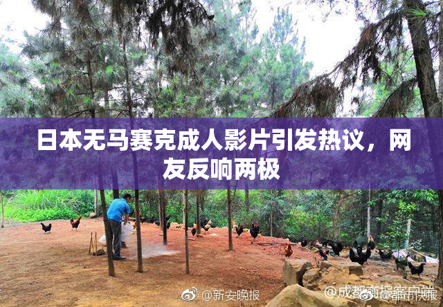日本无马赛克成人影片引发热议，网友反响两极