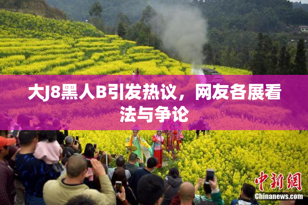 大J8黑人B引发热议，网友各展看法与争论
