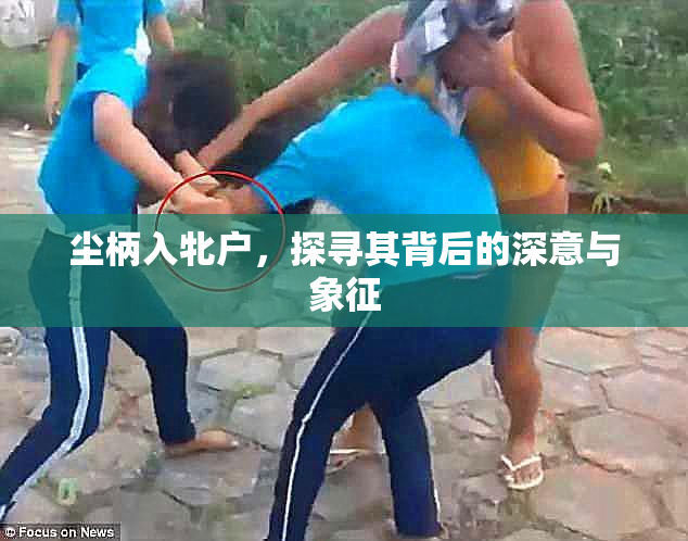 尘柄入牝户，探寻其背后的深意与象征