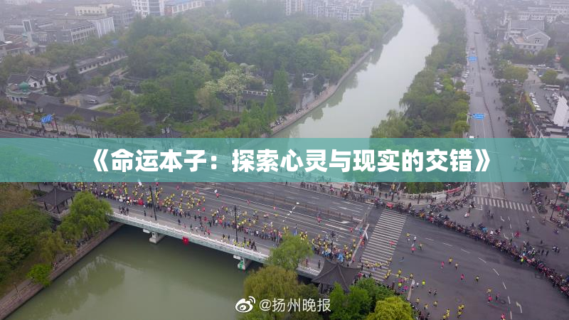 《命运本子：探索心灵与现实的交错》