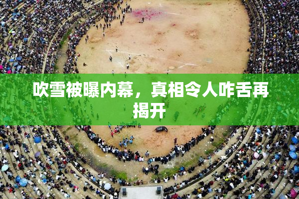 吹雪被曝内幕，真相令人咋舌再揭开
