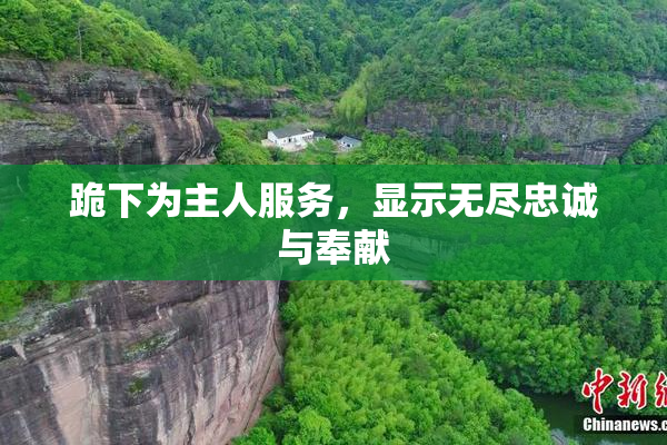 跪下为主人服务，显示无尽忠诚与奉献