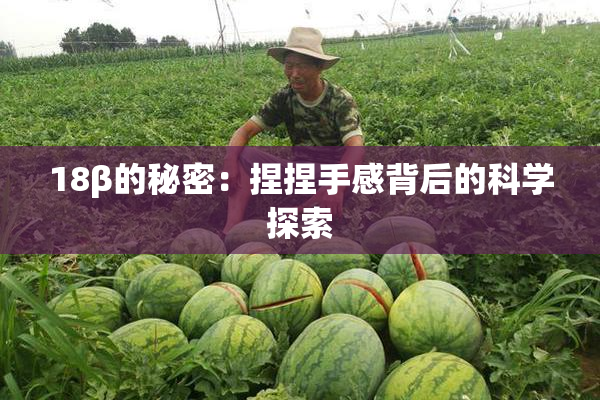 18β的秘密：捏捏手感背后的科学探索