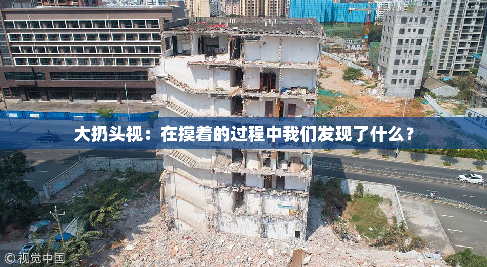 大扔头视：在摸着的过程中我们发现了什么？