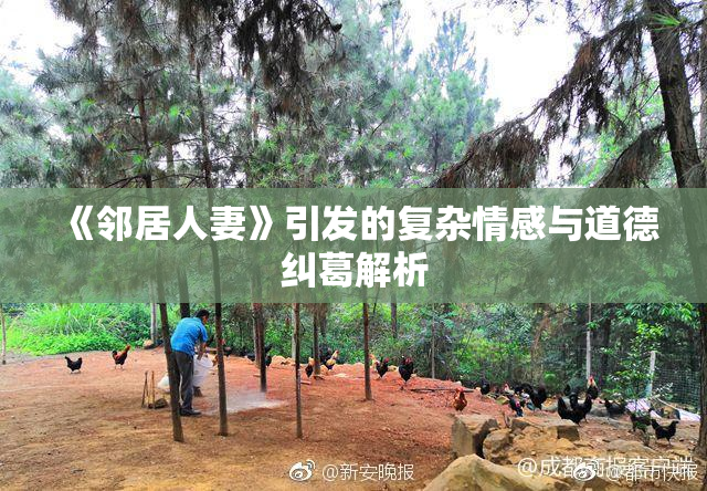 《邻居人妻》引发的复杂情感与道德纠葛解析